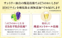 サントリー&nbsp;酸化防止剤無添加のおいしいワイン。スパークリング〈白〉350ml×24本&nbsp;|&nbsp;スパークリング&nbsp;ワイン&nbsp;辛口&nbsp;果実酒&nbsp;お酒&nbsp;無添加&nbsp;人気&nbsp;おすすめ