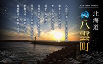 北海道二海サーモン 定塩 切身 厚切(4切×4袋) 合計16切 【 トラウトサーモン 北海道産 養殖サーモン 海産物 魚介類 水産物応援 水産物支援 】