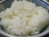 【令和６年産】　大田原産コシヒカリ　１０ｋｇ