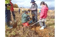 【津南町森林組合】まる1日津南体験（広葉樹植栽体験と津南ジオパークトレッキング体験）1名様