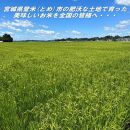 【新米】令和6年宮城県登米市産「ひとめぼれ」10kg×1袋