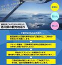 高松空港発着セスナ３０分遊覧フライト