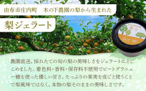 ＜庄内梨80％使用＞梨のプレミアムジェラート&nbsp;6個&nbsp;セット（幸水・豊水・新高&nbsp;各2個）