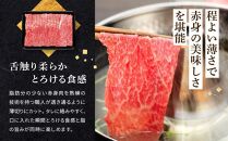 和歌山産 高級和牛『熊野牛』赤身しゃぶしゃぶ用 約600g【EG13】