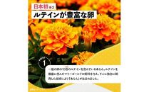 【お歳暮ギフト】光の刺激から目を守る　ルテイン含有卵　機能性表示食品「あらん」　6個入り3パック