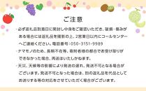 【お歳暮ギフト】創業130余年！老舗果物店が見極めた、厳選フルーツ詰合せ♪満足セット （3～5品種）