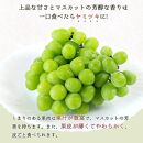 紀州和歌山産 シャインマスカット2房（約1kg〜1.4kg）【UT120】