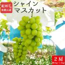 紀州和歌山産 シャインマスカット2房（約1kg〜1.4kg）【2025年8月下旬頃から9月中旬頃発送予定】【UT120】