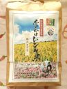 【令和6年度産】ホロかけレンゲ米　特別栽培米　5kg（彩のきずな） ／ 無農薬 おこめ コメ 埼玉県