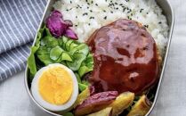 ＜おおいた和牛100％使用＞デミハンバーグ 個包装 10個 計約1.5kg