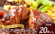 ＜おおいた和牛100％使用＞デミハンバーグ 個包装 20個 計約3kg【 ハンバーグ 牛肉 100％ 冷凍 手軽 個包装 おかず 大容量 肉 はんばーぐ 洋食 人気 おすすめ ハンバーグ 】