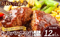 ＜おおいた和牛100％使用＞ハンバーグ 2種 デミ・プレーン 12個 計約1.2kg【 ハンバーグ 牛肉 100％ 冷凍 手軽 個包装 おかず 大容量 肉 2種類 はんばーぐ 洋食 人気 おすすめ ハンバーグ 】