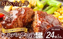 ＜おおいた和牛100％使用＞ハンバーグ 2種 デミ・プレーン 24個 計約2.4kg