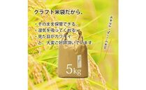 令和7年産&nbsp;福岡県産【特A】評価のお米「元気つくし」5kg×1袋&nbsp;5kg&nbsp;[玄米]