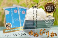 【減農薬で体に気を使った】令和6年産　ゆめぴりか玄米5kg×2