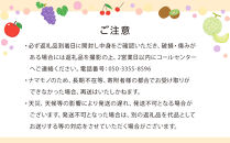 【12ヶ月連続定期便】厳選フルーツ詰合せ【青果コース】3～5品種