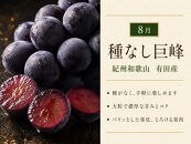 【8・9・12月&nbsp;全3回】紀州和歌山産旬のフルーツセット（巨峰・シャインマスカット・みかん）&nbsp;定期便