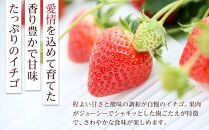 岡山市産「ゆめのか」12～15粒 450g×1パック 贈答用 化粧箱入り＜北海道・沖縄県・離島配送不可＞