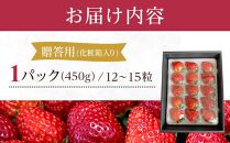 岡山市産「晴苺」12～15粒 450g×1パック 贈答用 化粧箱入り＜北海道・沖縄県・離島配送不可＞