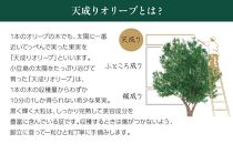 【井上誠耕園】～2024年度産搾りたて～ 井上誠耕園産エッセンシャルオリーブオイル 8ml【化粧用】