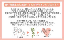 ＜2か月定期便＞【緑のゆうき】購入された野菜の売上の1％が、社会貢献に&nbsp;京都産のこだわり野菜（有機野菜、栽培期間中農薬・化学肥料不使用など）を&nbsp;美味しいタイミングで収穫したセット