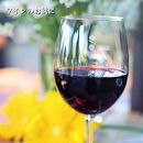 小豆島産&nbsp;オリーブ新漬け（ピクアル種）50g×4個