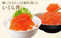 いくら醤油漬け 鱒卵 200g×3パック (合計600g)  【 いくら 小分けパック 鱒いくら 小粒厳選 いくら醤油漬け いくら醤油漬 北海道 小分け 海産物 魚介類 水産物応援 水産物支援 年内発送 年内配送 】