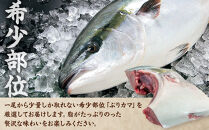 国産　ぶりカマ煮付　1枚真空　10個入り