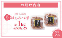 訳あり&nbsp;梅干し&nbsp;大粒&nbsp;大玉&nbsp;つぶれ梅&nbsp;はちみつ梅&nbsp;約1kg(500g×2)&nbsp;&nbsp;塩分8％