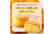 【お歳暮ギフト】瀬戸内芳醇オレンジケーキ 小丸 6個入り 香川県産ネーブルオレンジ