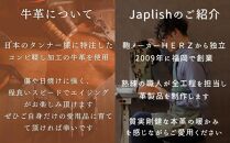 【革工房Japlish】衛生的な本革クッションカバー【チョコ】インナークッション付属＜福岡市の本革製品＞