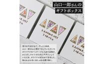 【お歳暮ギフト】釜だしポテト16個入り