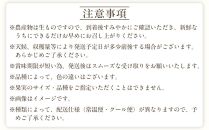 和歌山の春のフルーツ（ポンカン・清見オレンジ・セミノールオレンジ）定期便 全3回 【2月・3月・4月発送】【TM184】