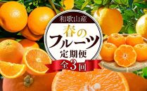 和歌山の春のフルーツ（ポンカン・清見オレンジ・セミノールオレンジ）定期便 全3回 【2月・3月・4月発送】【TM184】