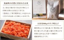 ＜うまい筑前町！人気コラボセット＞ 明太子900g＆無農薬米3kg【明太子 辛子明太子 めんたいこ 魚卵 米 こめ 白米 無農薬米 コラボ コラボ品 明太子 お米 セット 食品 おすすめ 人気 ふるさと納税 福岡県 筑前町 送料無料 AC031】