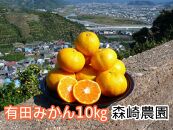 有田みかん 10kg 森崎農園「ふる里みかん」【2024年12月初旬より順次発送】ありだみかん