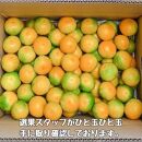 有田みかん 由良早生S～Lサイズ混合 約5kg 【2025年発送 先行予約】