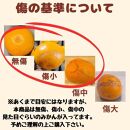 有田みかん 由良早生S～Lサイズ混合 約5kg 【2025年発送 先行予約】