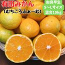 有田みかん 由良早生S〜Lサイズ混合 約10kg 【2025年発送 先行予約】