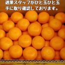 有田みかん 早生S～Lサイズ混合 約5kg