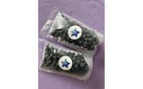 フローズンブルーベリー800g（400g×2）　☆使いやすいサイズ　爽やかな酸味の完熟の冷凍能登ブルーベリー