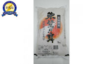 令和7年産&nbsp;佐渡産コシヒカリ米「朱鷺の舞」10kg(5kg×2個)&nbsp;佐渡・今井茂助商店おすすめ