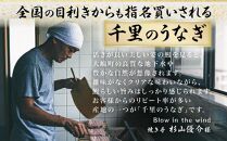 大容量【訳あり】鹿児島県産うなぎ蒲焼10尾　1,200g以上