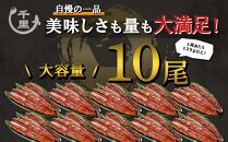 大容量【訳あり】鹿児島県産うなぎ蒲焼10尾　1,200g以上