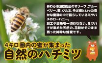 【天然はちみつ】 raw honey あわら蜜 4個 / 非加熱 生産者直送 蜂蜜 ミツバチ 純はちみつ ローヤルゼリー 生はちみつ 日本みつばち