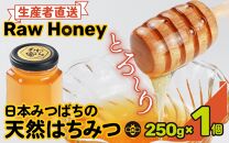 【天然はちみつ】 raw honey あわら蜜 1個 / 非加熱 生産者直送 蜂蜜 ミツバチ 純はちみつ ローヤルゼリー 生はちみつ 日本みつばち