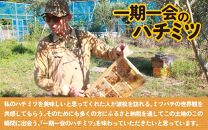 【天然はちみつ】 raw honey あわら蜜 1個 / 非加熱 生産者直送 蜂蜜 ミツバチ 純はちみつ ローヤルゼリー 生はちみつ 日本みつばち