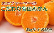 エコファーマーのこだわり 有田みかん 約5kg サイズ混合 秀・優品 ★2024年11月中旬頃より順次発送