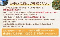 みかん 山から直送 箱込 約1kg(内容量約 0.9kg) サイズミックス 和歌山県産 産地直送 家庭用［2025年11月中旬より2026年1月中旬頃順次出荷予定］［みかんの会］みかん 果物 みかん フルーツ みかん 和歌山 みかん 柑橘類 みかん 和歌山県産 みかん 有田 みかん