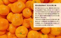 みかん 山から直送 箱込 約1kg(内容量約 0.9kg) サイズミックス 和歌山県産 産地直送 家庭用［2025年11月中旬より2026年1月中旬頃順次出荷予定］［みかんの会］みかん 果物 みかん フルーツ みかん 和歌山 みかん 柑橘類 みかん 和歌山県産 みかん 有田 みかん